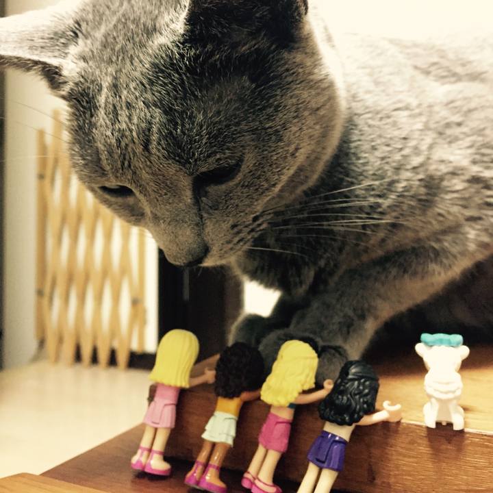 28e1b87f 2a39 4644 abb1 1eb3be98d686