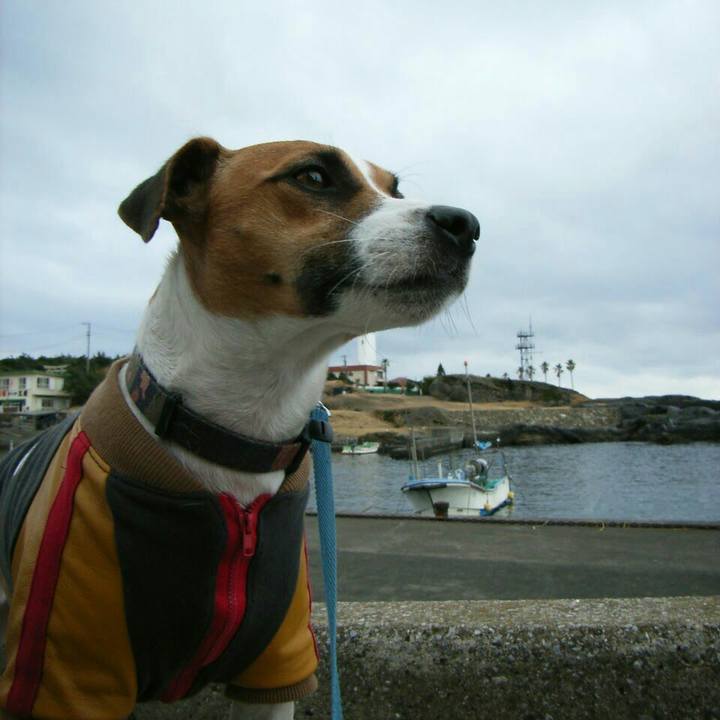 28e240fe 8089 48b6 a83a b18e9c5a8c7c