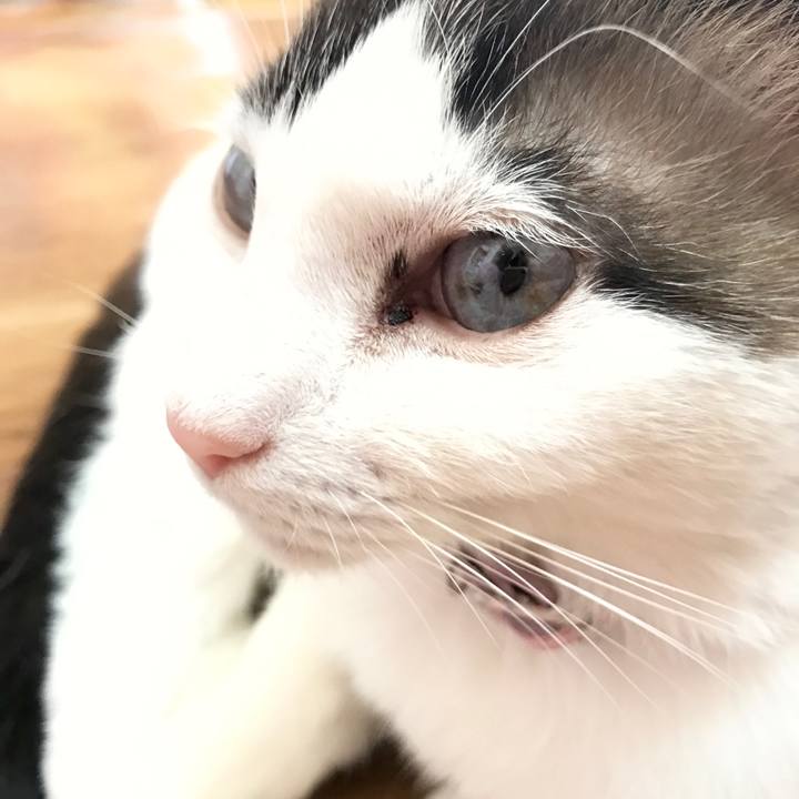 28e24c17 a187 4476 85e7 d7e4c1fc77b9