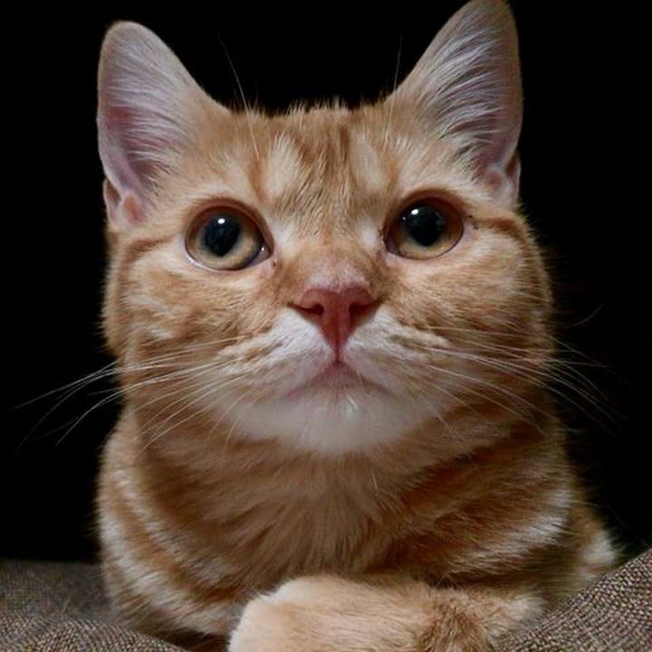 28e27938 7ecc 44b0 822d 7accda7c6dce