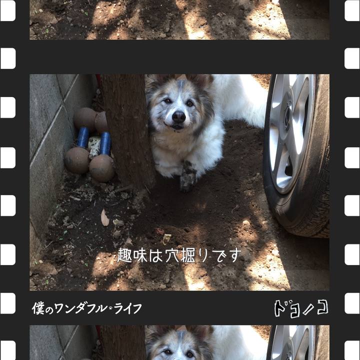 28e2b895 ecba 4554 acf6 44e97333082c