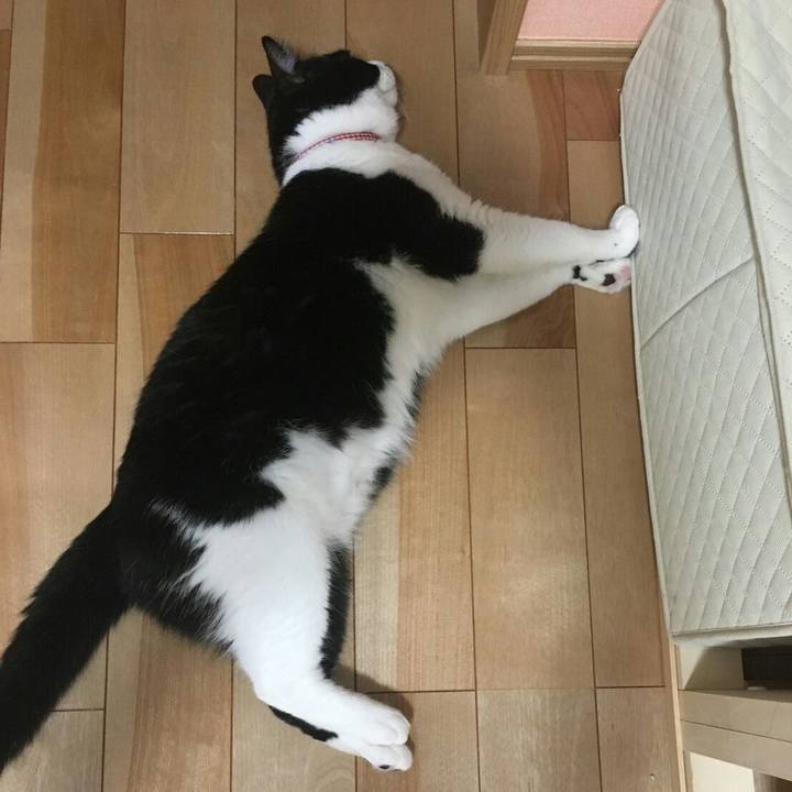 28e2d838 bbcd 4f2e be7f 35c4a841accb