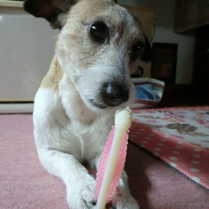 28e2ef61 8824 4c0c bc10 c086b4aec25e