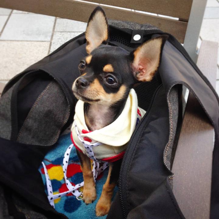 28e315e9 1ca7 4b1a bf84 8f52d73667a7