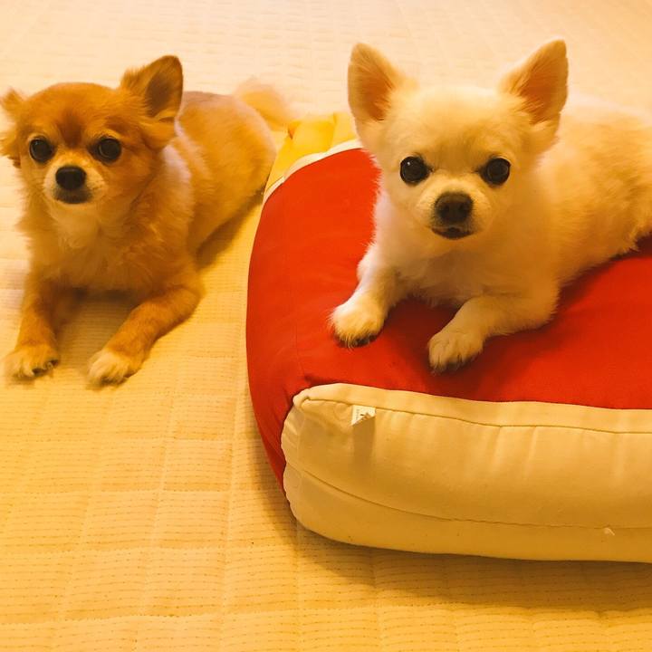 28e31b17 5cfa 4723 b8d7 c2e402ce60d5