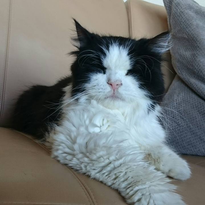 28e483f3 42e6 4f6a a519 43f1d302db88