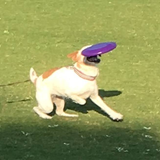 28e5f6b3 3c23 4bd1 8665 2ce62715b403