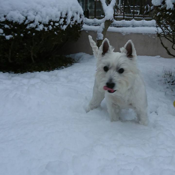 28e61030 c897 4f2b abbe 8986b273d8b2