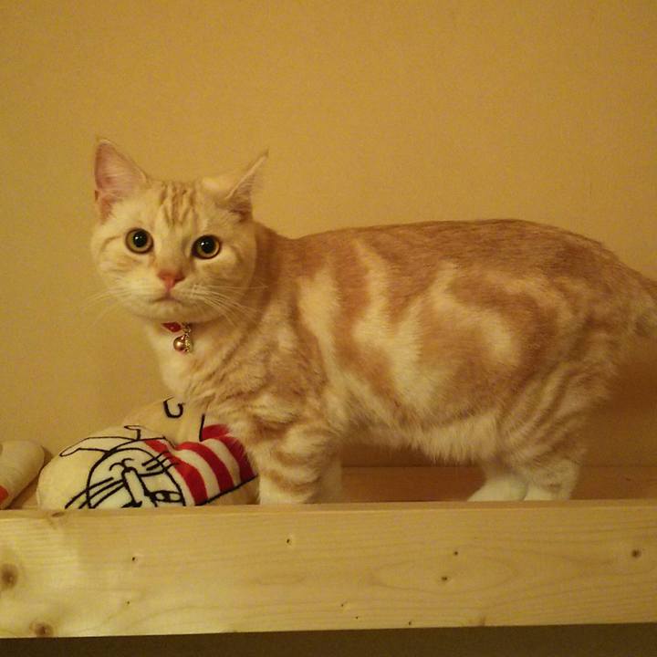 28e65780 e921 4b71 81a6 522dba9aa136