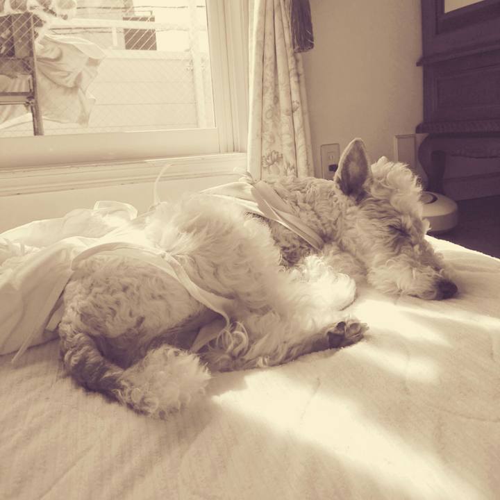 28e68747 0b5b 4055 88ce d971e43381f0