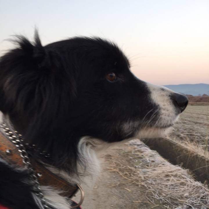 28e6b58f f238 41d9 a498 b2cdae58e298