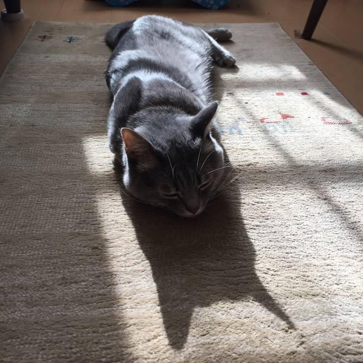 28e7b2d4 39dd 4133 a2ff a5ae76ff3ee7