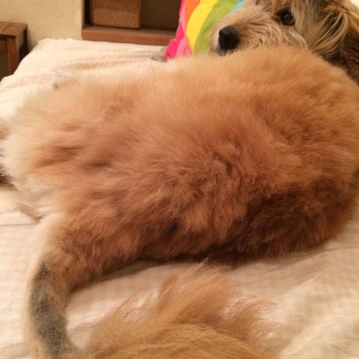 28e7c25c ec23 41da 8833 5b27c3d77f78