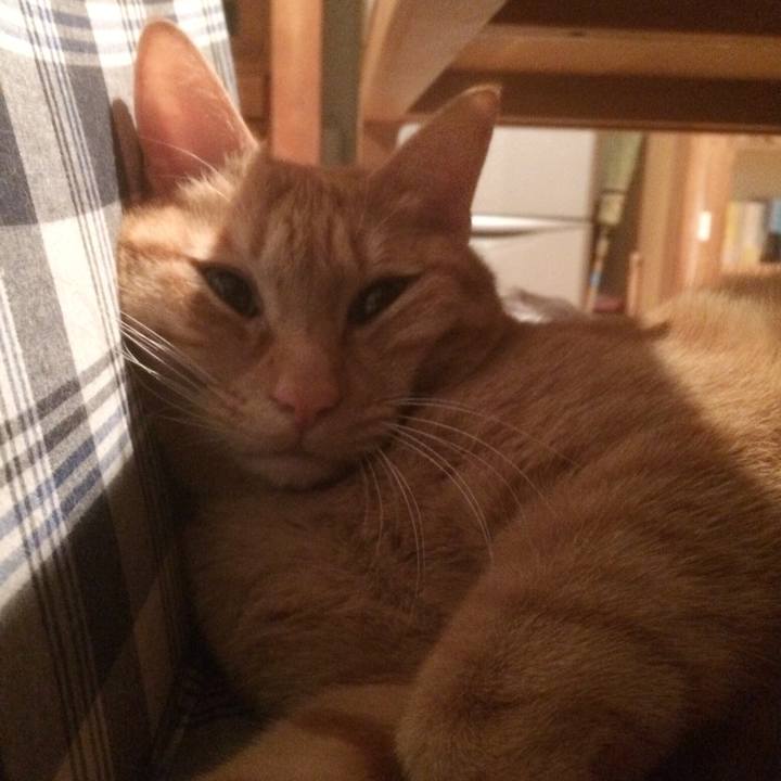 28e806ae c855 49df 90b3 144eacc431a3