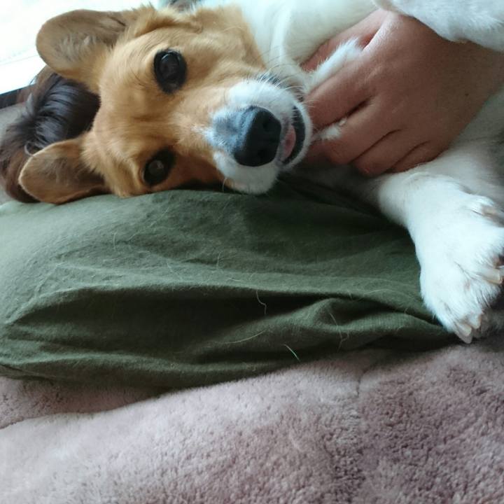 28e81f71 e419 4351 9dae 50da58d7c694