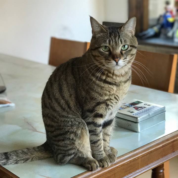 28e8301f 8360 4e4b 86a4 b2f2a7d0433a