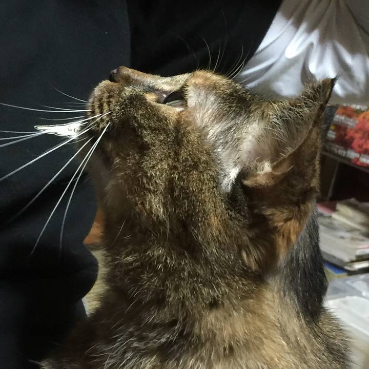 28e85e85 bb6c 4a62 a06c 6f3204f6b2c7