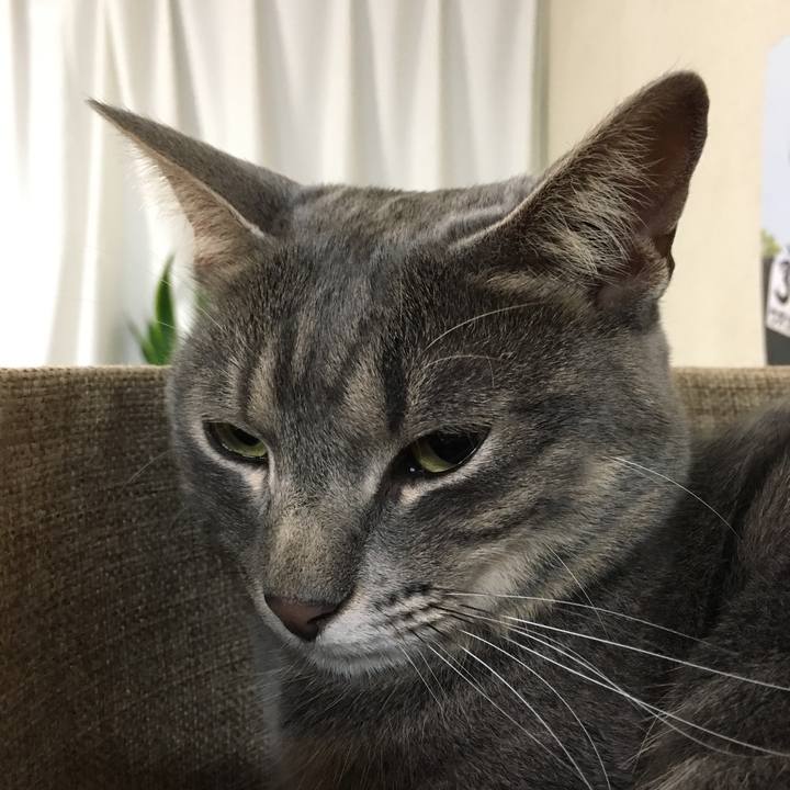 28e86b40 7241 4ae1 a094 5545bbe2f7d5