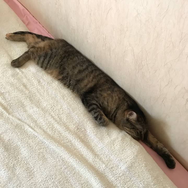 28e8c39b d40d 4995 b80c 330aa2b46264