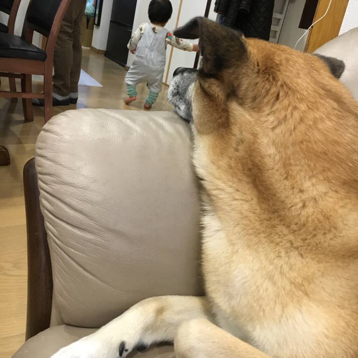 28e8cae5 2c33 467e b63c e32486e3381f