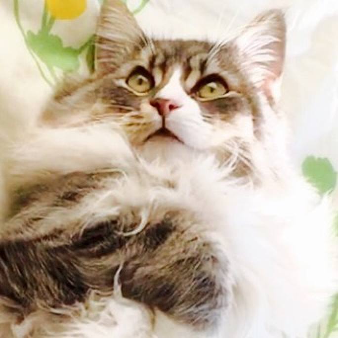 28e8fa6a ecfd 41b0 954f 6b0b5cb33d57