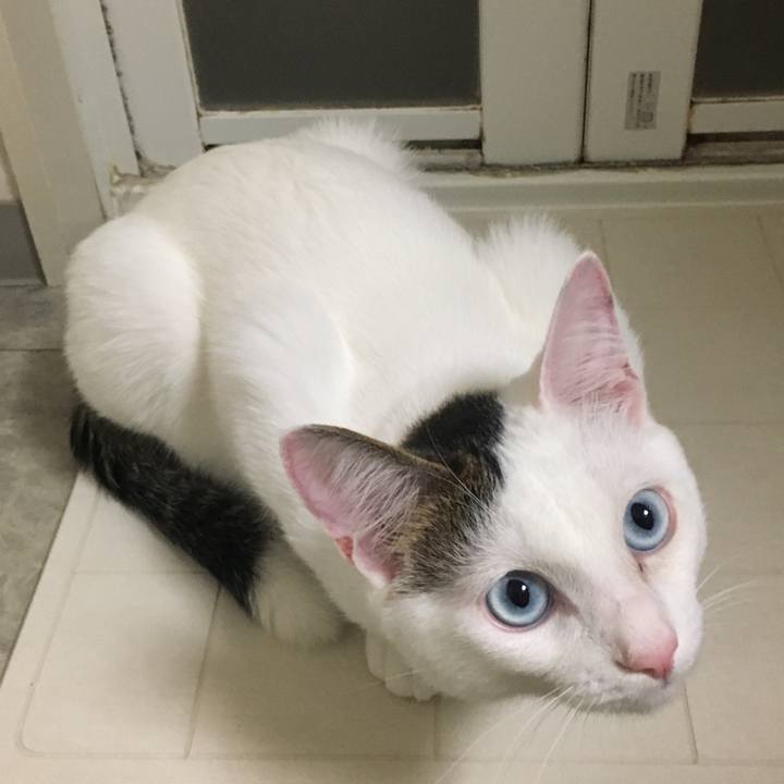 28e98598 c7ad 4d56 a7b2 47f49cfbc57a