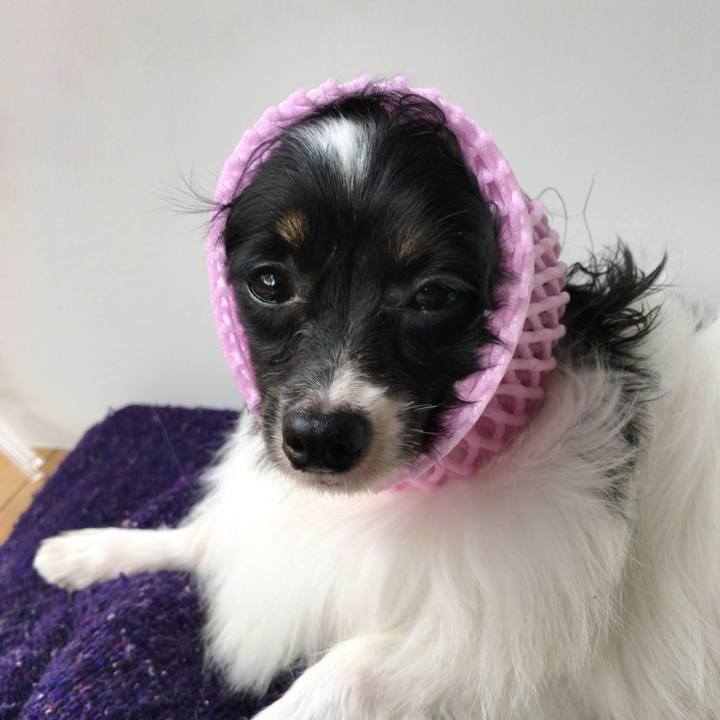 28e98882 622d 4d9d b782 1940b3dadf47