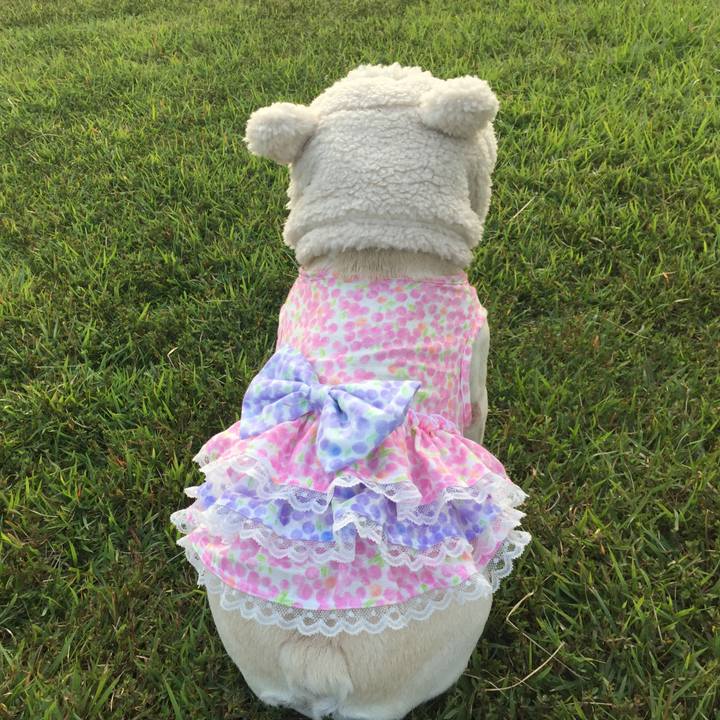 28e98c0b 200f 4b49 ac17 9ee0b6ddde3b