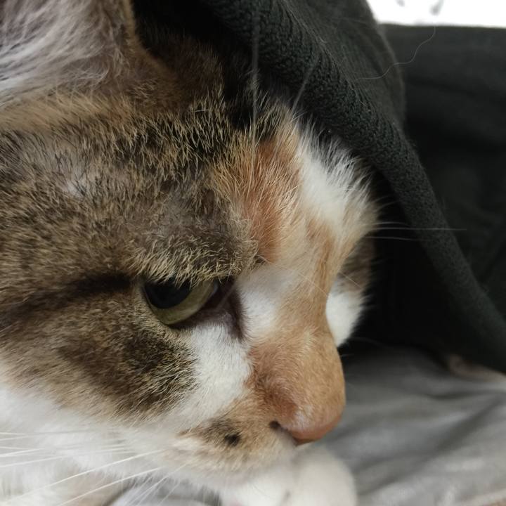 28e9c111 cacd 4e8d b041 15a6417a7428