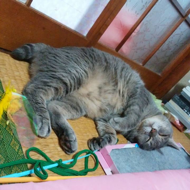 28ea7380 573e 4129 a324 3297ad8ff50f