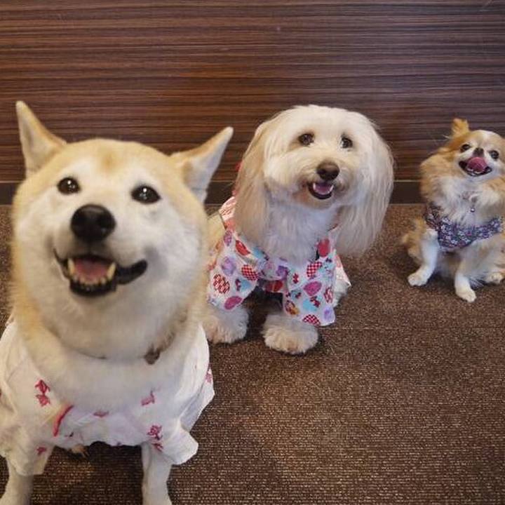 28ea914b 7bd5 4685 aa83 e04d6023dcd9