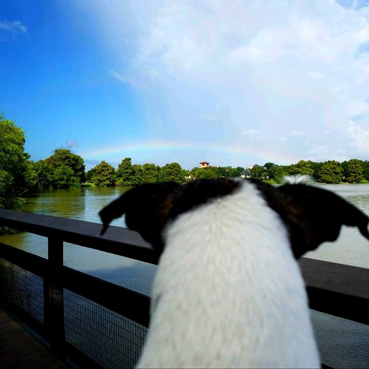 28ea922b d922 40c6 a96e e901392c49ce