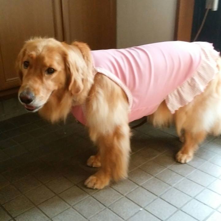 28eb835a 4df7 41c4 a571 3065c1736d05