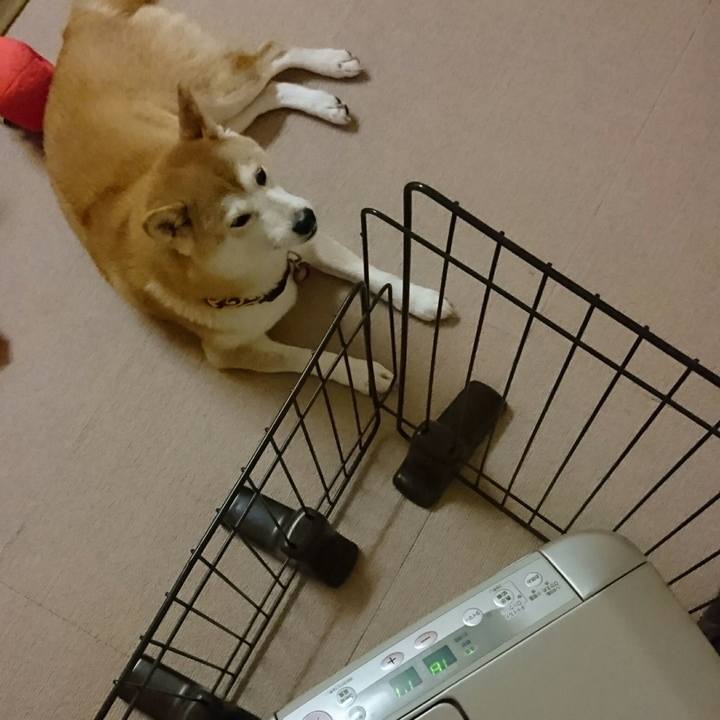 28ec02c8 2e67 485e 838a e490dd9ab537