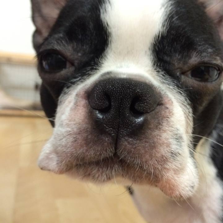 28ec0ee5 a844 4e09 86af b3a9efd35b8a