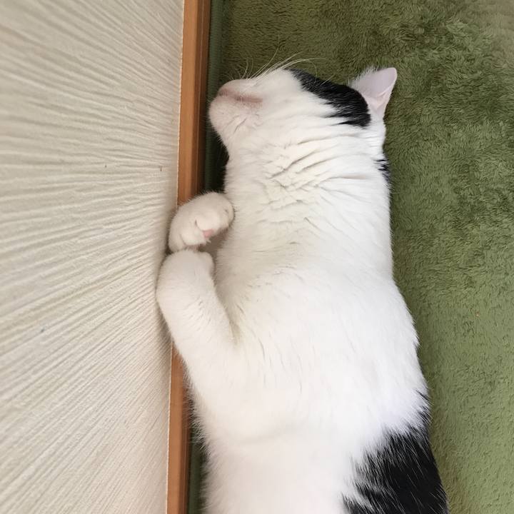 28ed2e4b 057f 4425 8021 3e10244d7a8e