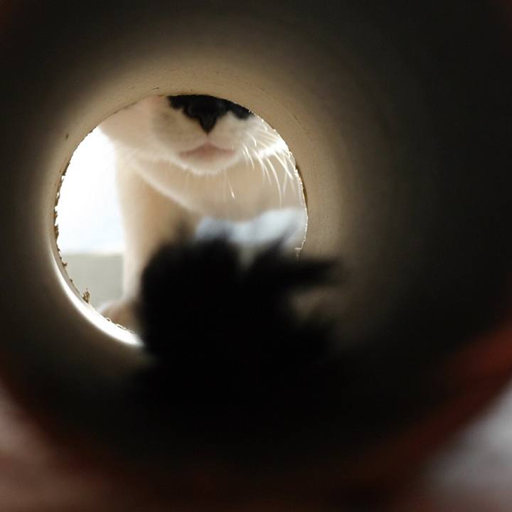 28eefbce dc45 4d31 96b2 9ed9dc3e37aa