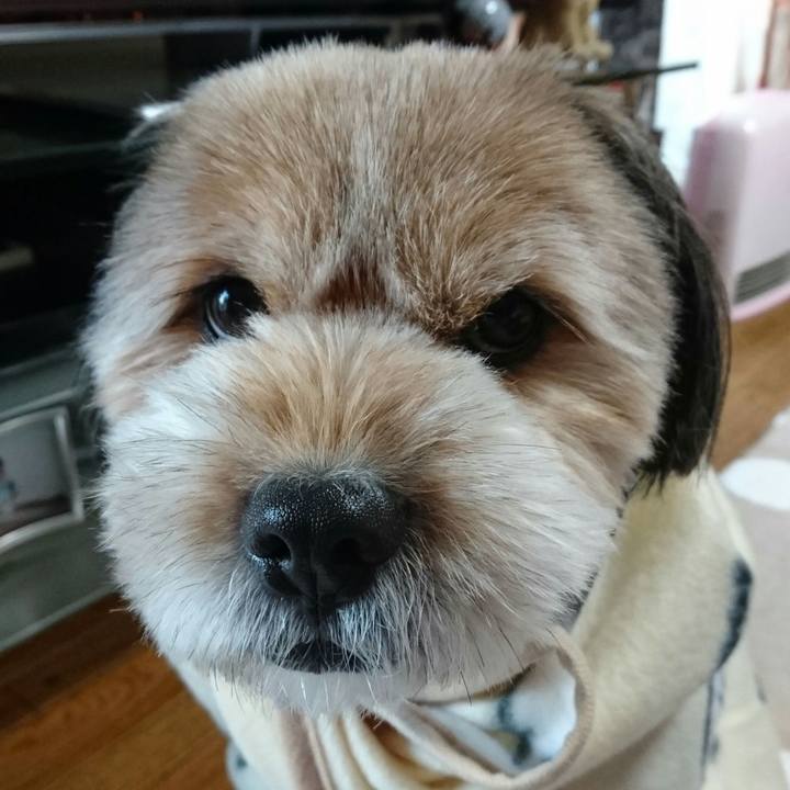 28ef9f6f 3286 48d2 917a 41f0e2a64556