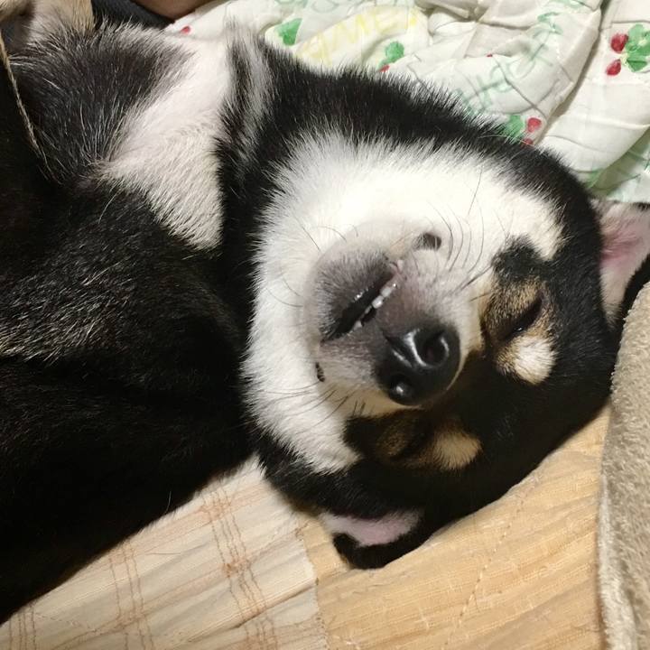 28efcb18 f075 4e0f 88cd ab523678ef03