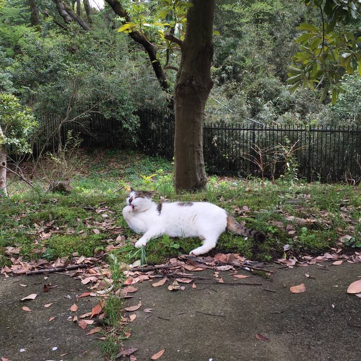 28f04bbb 64ae 4906 a0d7 42dbdec6c039