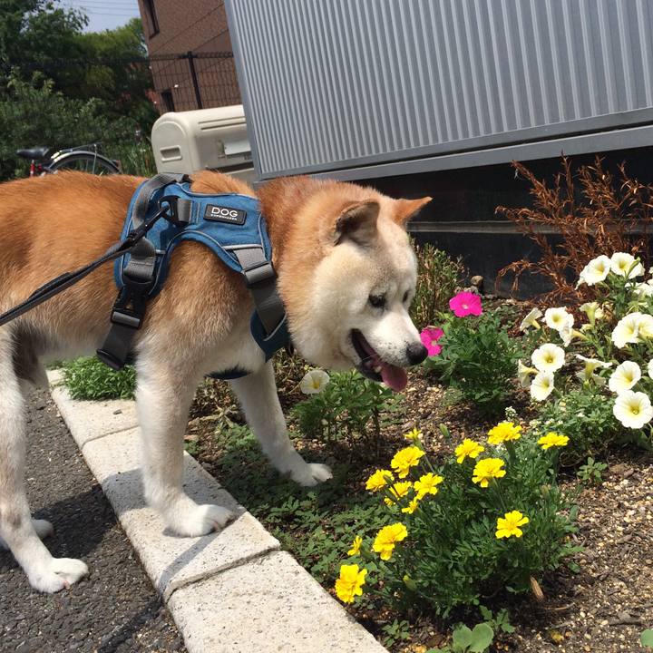 28f08d2f 36f1 4fb6 aed2 c702b50ee6c2