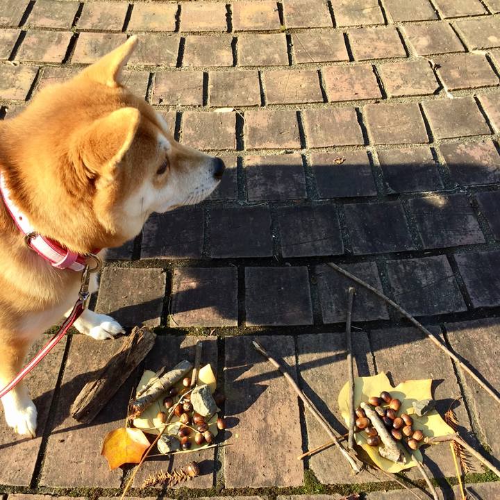 28f0b2c5 805e 4e06 882c bde42afc6580