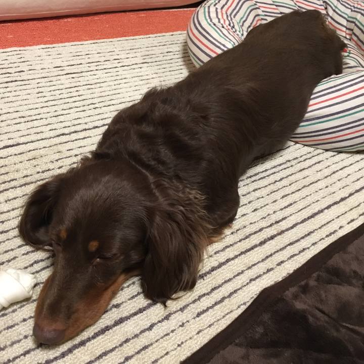 28f18375 d4fd 42c3 9c52 ad9586699198