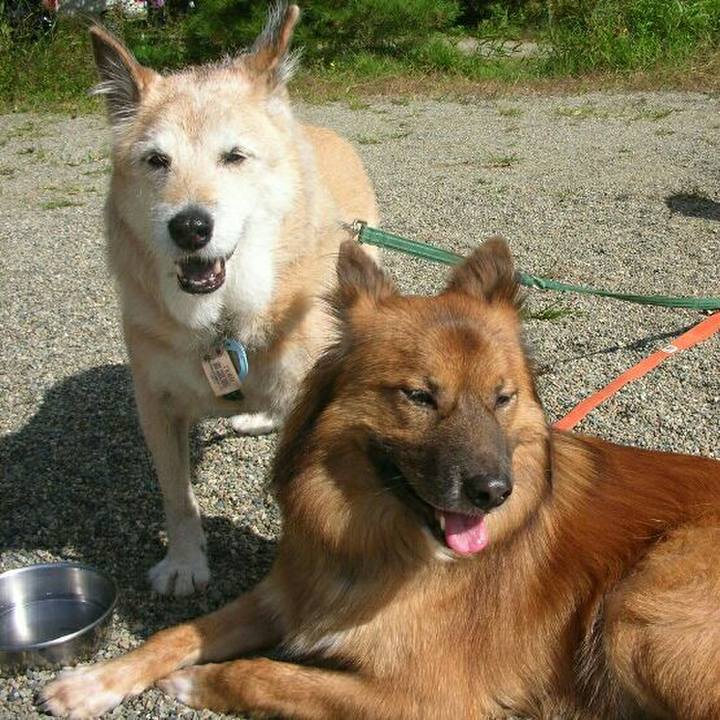 28f18462 348d 4aa3 967f f288f58ecc2a