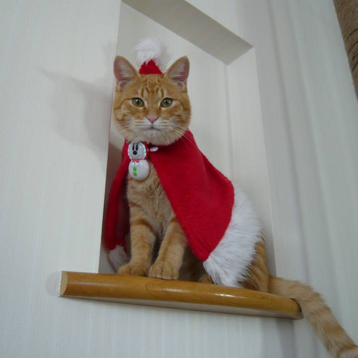 28f1f12f 517f 4aac b71b 3f2074b77ca1