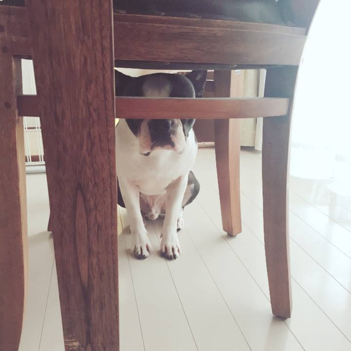 28f30bf4 858b 49a1 a9b1 79ad86d94bf3