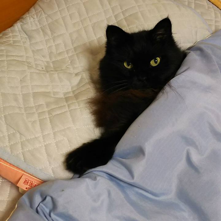 28f35005 38f3 4989 833e 376a48406e67