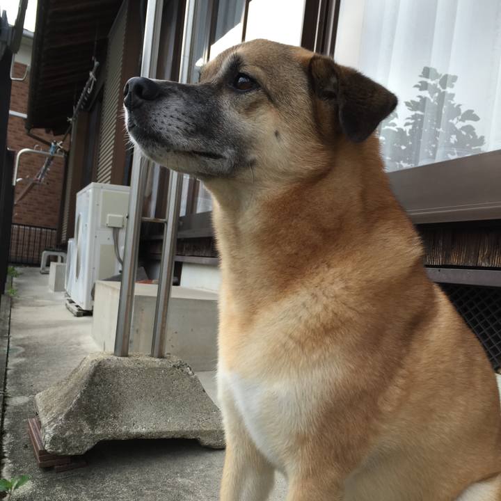 28f357d8 4fc0 4402 9fe8 391a7140ebf7