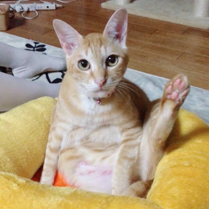 28f3b78b 385c 47a1 a7f5 f278328b6ba5