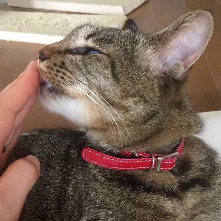 28f4146f b27c 412a 9b78 8a467ed13bbe